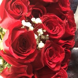 Meet your Posher, Ariel